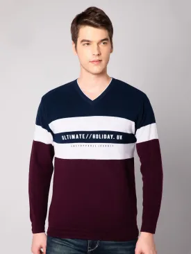 Mens Wine Sweater